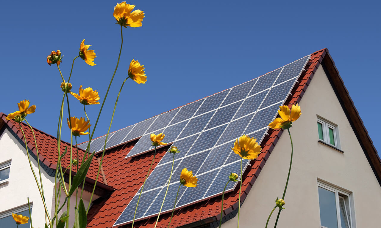 Cost effective solar panels
